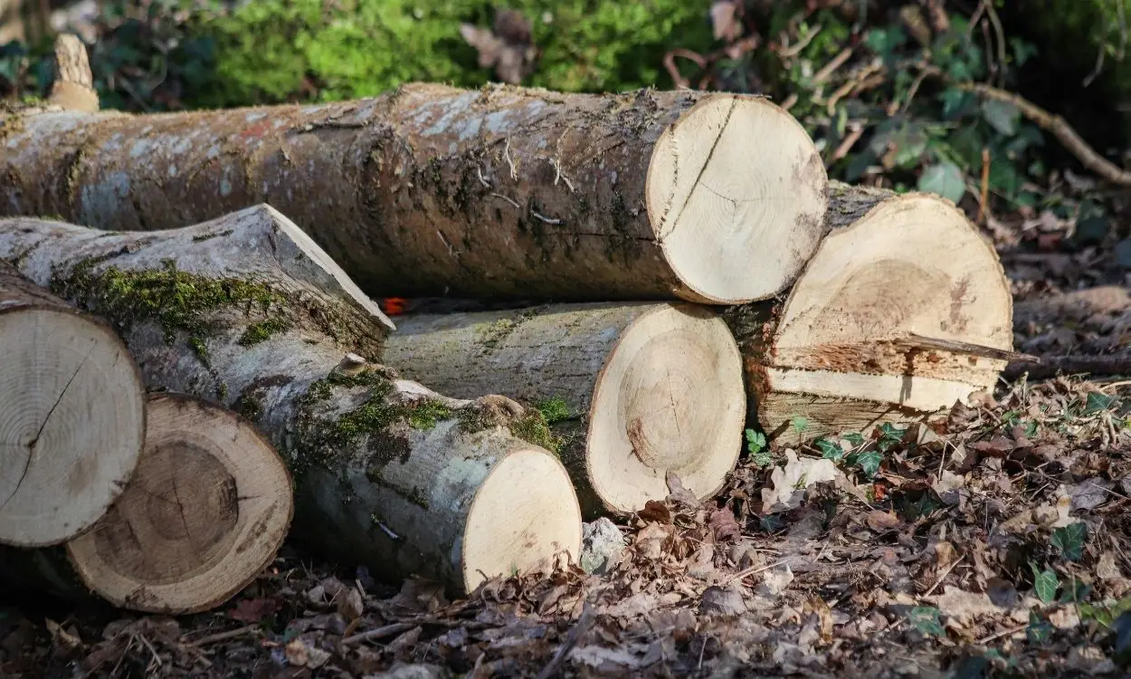 Slider Images Fenline04