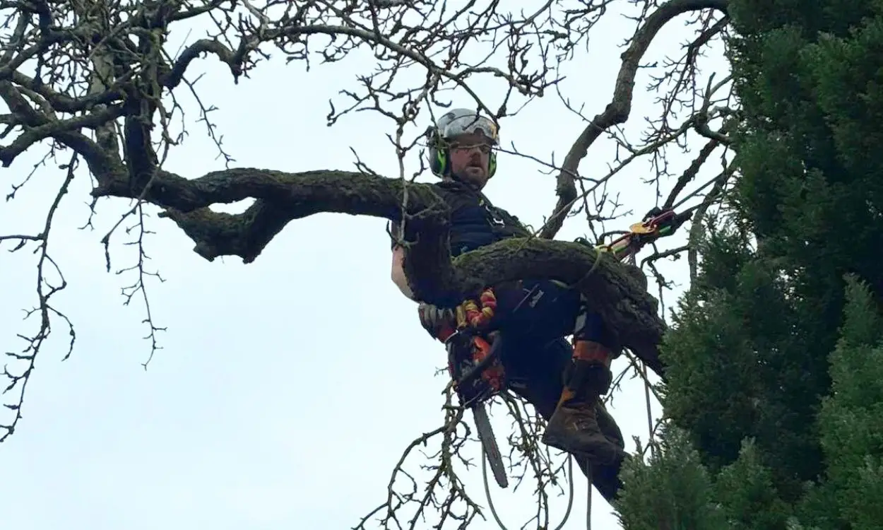 Slider Images Fenline10